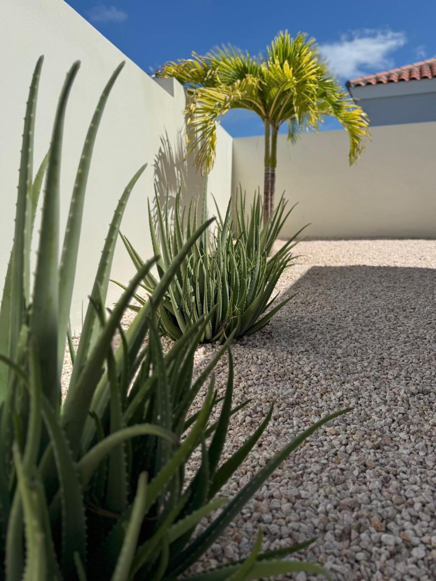 Villa Vista Montana Willemstad Luaran gambar